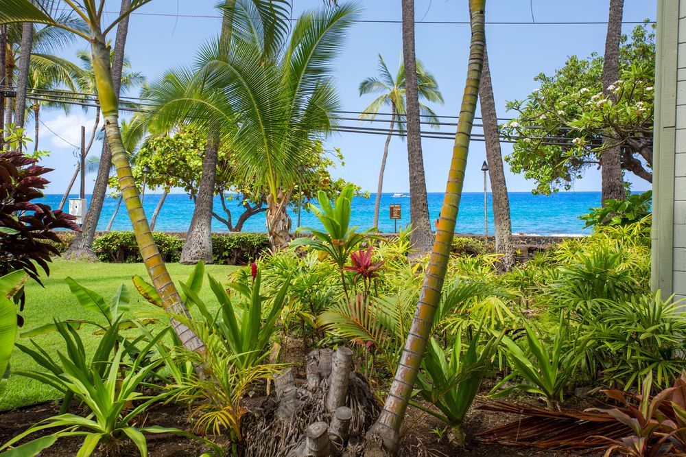 Vacation Condos In Kona كايلو كونا المظهر الخارجي الصورة
